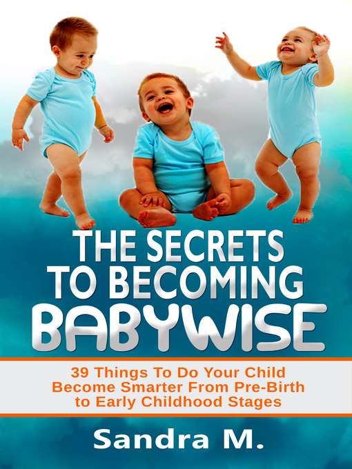 Cover image for The Secrets to Becoming Babywise
